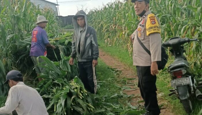 Sinergi Polisi dan Petani di Ombe Rerot Timur Menuju Indonesia Emas 2045