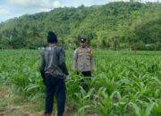 Polisi Sekotong Dukung Swasembada Pangan Lewat Pendekatan Desa