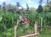 Bripka Saepul Sambangi Petani Jagung di Sekotong Timur