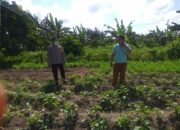 Petani Dusun Lamper Dapat Pendampingan Polri untuk Kemandirian Pangan
