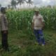 Polri Hadir di Tengah Petani: Ketahanan Pangan Dimulai dari Dusun Pengodongan Indah