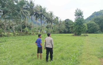 Polri dan Petani Bersatu Wujudkan Ketahanan Pangan di Lombok Barat