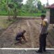 Dari Kuripan Timur untuk Indonesia: Kepolisian Ajak Warga Jaga Pangan Nasional