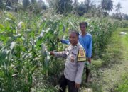 Bhabinkamtibmas Montong Are Dorong Ketahanan Pangan Melalui Pendataan Petani Jagung