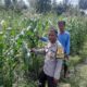 Polri Aktif di Sawah: Ketahanan Pangan Jadi Fokus Bhabinkamtibmas Kediri