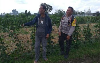 Ketahanan Pangan Dimulai dari Desa, Inisiatif Bhabinkamtibmas di Dusun Beremi Kuripan