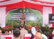 Ketahanan Pangan NTB, Polda dan Pemda Tanam Jagung Serentak di Lombok Barat