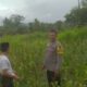 Kolaborasi Kamtibmas dan Ketahanan Pangan di Sekotong Tengah Terus Ditingkatkan