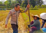 Kunjungan Bhabinkamtibmas Kuripan Utara, Ajak Petani Dukung Ketahanan Pangan Nasional