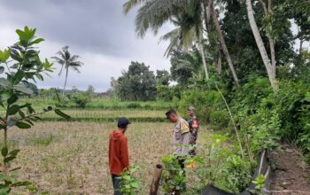 Polri Gencarkan Ketahanan Pangan di Lombok Barat, Bhabinkamtibmas Ajak Warga Sukseskan Swasembada