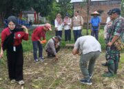 Sinergi Polsek Batulayar dan Warga Sandik Tanam Jagung Dukung Ketahanan Pangan