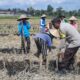 Dampingi Petani, Bhabinkamtibmas Kediri Bangun Ketahanan Pangan dari Akar Rumput