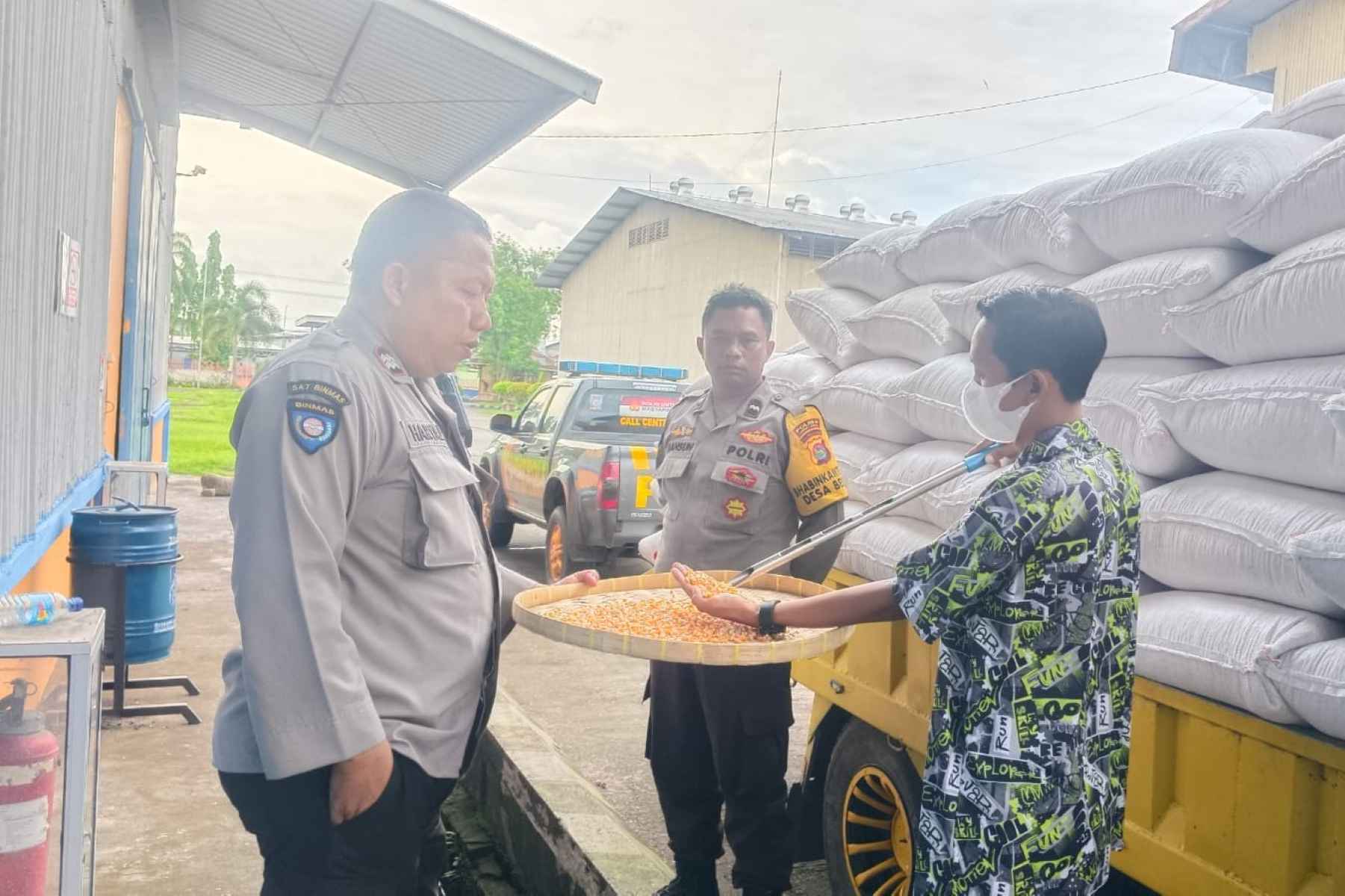 Sinergi Amankan Pangan: 7 Ton Jagung Petani Lobar Tiba di Gudang BULOG Mataram