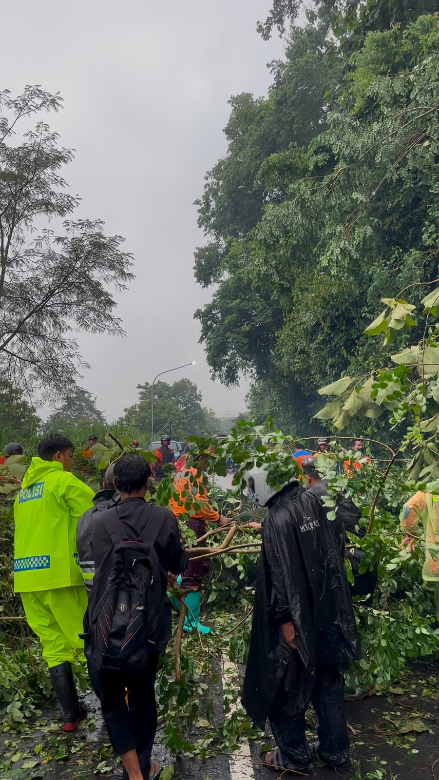 personel TNI, Polri, dan relawan bergotong royong melakukan evakuasi sejumlah pohon tumbang