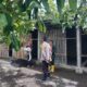 Bhabinkamtibmas Labuapi Aktif Dorong Ketahanan Pangan di Tingkat Petani