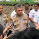 Lonjakan Produksi Jagung di Wilayah Polda Jatim Dukung Program Swasembada Pangan