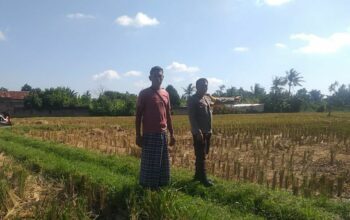 Bhabinkamtibmas Desa Jagaraga Dorong Kemandirian Pangan dari Pekarangan Warga