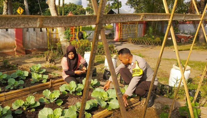 Desa Kuripan Utara Bangun Ketahanan Pangan Lewat Kolaborasi KWT dan Polri