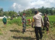 Sinergi TNI-Polri Dukung Ketahanan Pangan di Desa Taman Ayu, Gerung