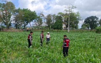 Polres Lombok Barat Dampingi Petani Gerung Utara, Dukung Swasembada Pangan