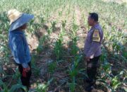 Sinergi Polri dan Petani, Optimalisasi Lahan Kosong di Dusun Jogot untuk Ketahanan Pangan