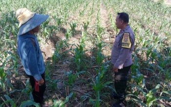Sinergi Polri dan Petani, Optimalisasi Lahan Kosong di Dusun Jogot untuk Ketahanan Pangan