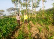 Kolaborasi Polisi dan Petani di Jagaraga untuk Wujudkan Lumbung Pangan Lokal