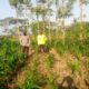 Petani Dusun Adeng Didampingi Bhabinkamtibmas dalam Program Ketahanan Pangan Keluarga