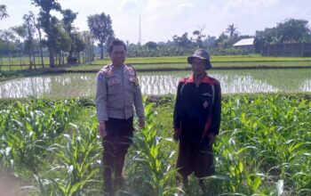 Sinergi Polisi dan Petani di Desa Jagaraga untuk Wujudkan Kemandirian Pangan