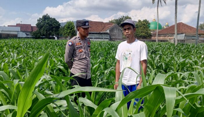 Pendekatan Humanis Polsek Kuripan: Sosialisasi Pangan dan Kamtibmas di Dusun Due Pelet
