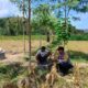 Sinergi Bhabinkamtibmas dan Petani Jagung Eyat Mayang Dorong Produktivitas Pertanian