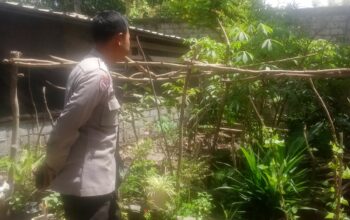 Kunjungan Humanis Bhabinkamtibmas, Ajak Warga Manfaatkan Lahan Pekarangan untuk Ketahanan Pangan