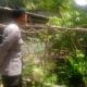 DDS Bhabinkamtibmas di Perampuan: Sinergi Polisi dan Warga Ciptakan Desa Produktif dan Aman