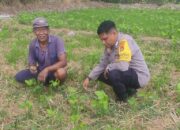 Sinergi Polri dan Warga Kuranji Dorong Desa Mandiri Pangan