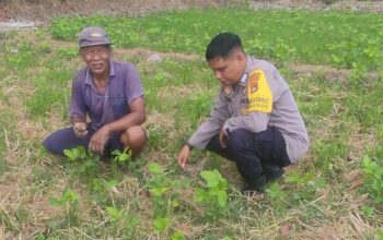 Sinergi Polri dan Warga Kuranji Dorong Desa Mandiri Pangan
