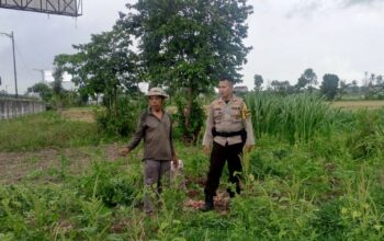 Bhabinkamtibmas Terong Tawah Dorong Pemanfaatan Pekarangan untuk Ketahanan Pangan
