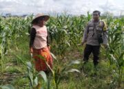 Sinergi Polisi dan Warga Karang Kebon untuk Kemandirian Pangan Lokal