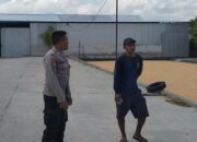 Polres Lombok Barat Perkuat Rantai Pasok Jagung melalui Monitoring Gudang di Kuripan
