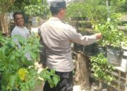 Warga Dusun Timbal Didampingi Polri Kembangkan Cabai dan Terong di Pekarangan