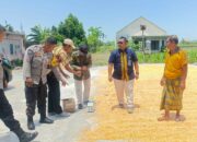 Bulog NTB Apresiasi Kualitas Jagung Gapoktan Desa Beleka Lombok Barat