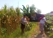 Dari Pekarangan Jadi Sumber Gizi: Inovasi Pangan di Desa Jagaraga