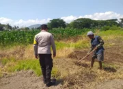 Petani Jagaraga Termotivasi, Lahan Tidur Disulap Jadi Sumber Pangan