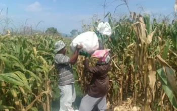 Polres Lobar Tegas Awasi Harga dan Mutu Beras di Pasar Gerung