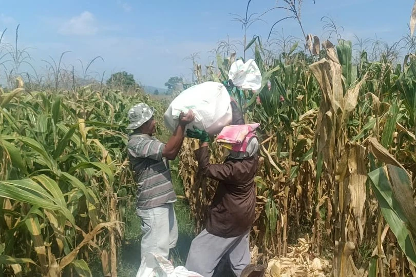 Polres Lombok Barat Kawal Stabilitas Harga Beras untuk Lindungi Warga