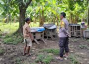 Mandiri Pangan: Polsek Batulayar Ajak Warga Tanam Cabai dan Terong