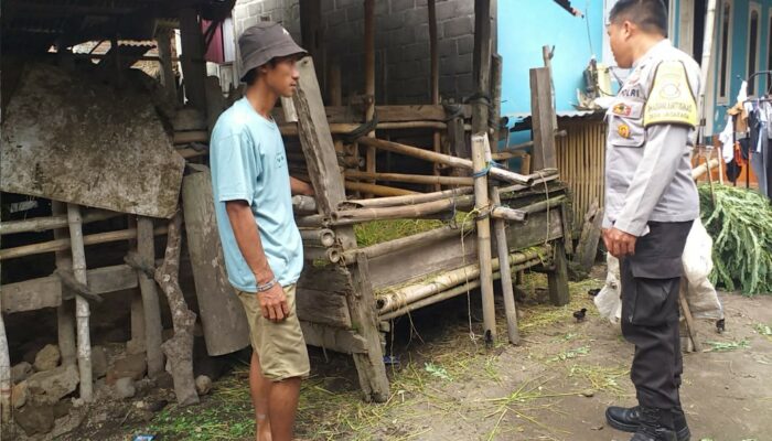 Bhabinkamtibmas dan Warga Jagaraga Bersinergi Ciptakan Lumbung Pangan Keluarga