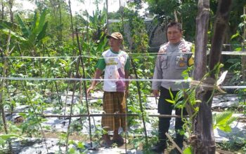 Sinergi Polri-Warga: Pekarangan Rumah Jadi Kunci Mandiri Pangan