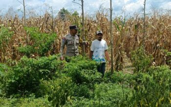 Langkah Praksis Polsek Gerung: Edukasi Pemanfaatan Lahan Kosong