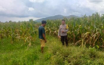 Sinergi Polri dan Warga Wujudkan Kemandirian Pangan di Lombok Barat