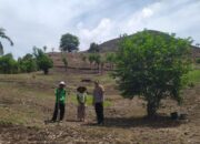 Polri Door to Door, Pastikan Lahan Produktif Warga Sekotong Aman